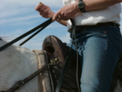 DSCF4995.JPG