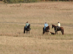 DSCF5003.JPG