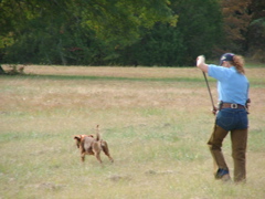 DSCF5009.JPG