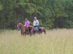 100_0674.JPG