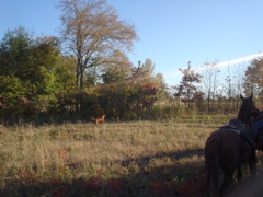 DSC03257.JPG