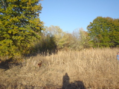 DSC03260.JPG