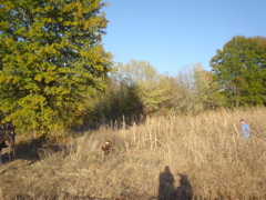 DSC03261.JPG