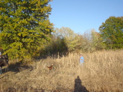 DSC03262.JPG