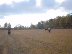 DSC03265.JPG