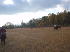 DSC03270.JPG