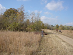 DSC03284.JPG