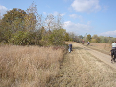 DSC03285.JPG