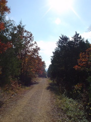 DSC03287.JPG