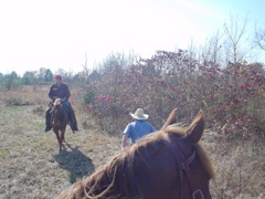 DSC03288.JPG