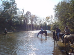 DSC03296.JPG