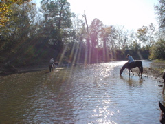 DSC03297.JPG