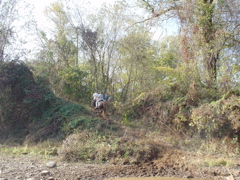 DSC03298.JPG