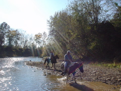 DSC03300.JPG