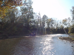DSC03301.JPG