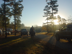 DSC03304.JPG