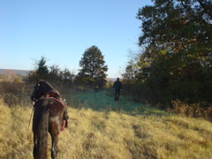 DSC03306.JPG