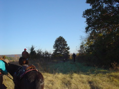 DSC03307.JPG