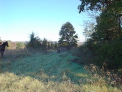 DSC03309.JPG