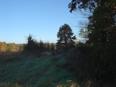 DSC03310.JPG