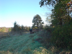 DSC03311.JPG