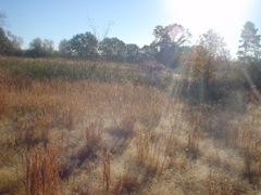DSC03312.JPG