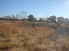 DSC03313.JPG