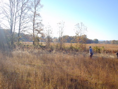 DSC03314.JPG