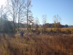 DSC03315.JPG