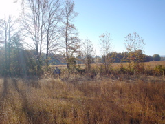 DSC03316.JPG