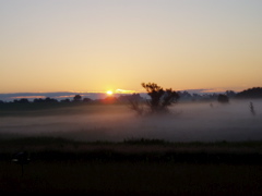 P1010162.JPG