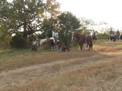 DSCF0003.JPG