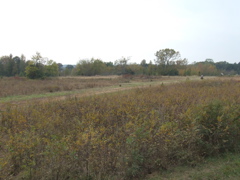DSCF0005.JPG