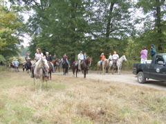 DSCF0009.JPG