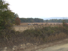DSCF0012.JPG