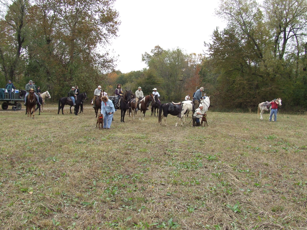 DSCF0236.JPG