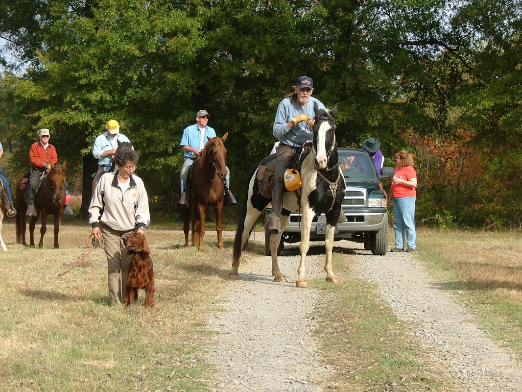DSCF8239.JPG