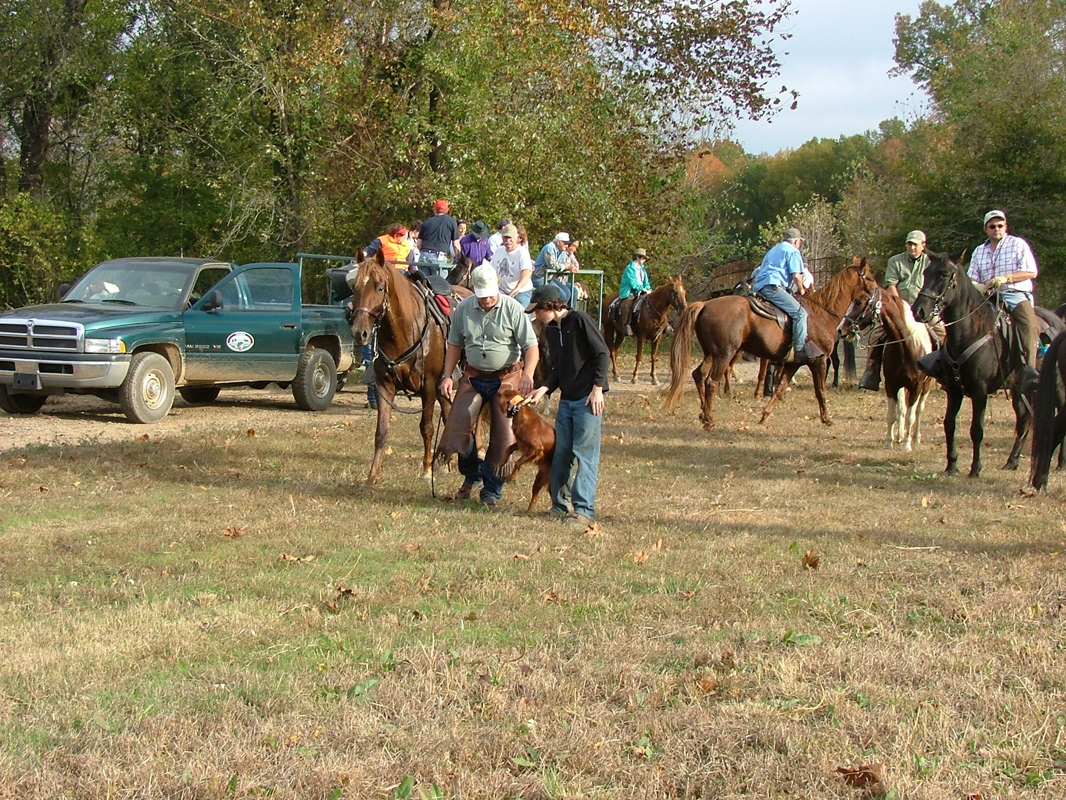 DSCF8247.JPG