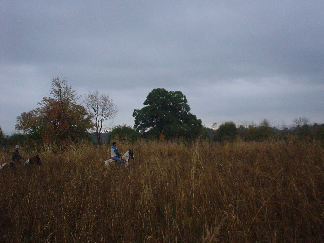 DSC00837.JPG