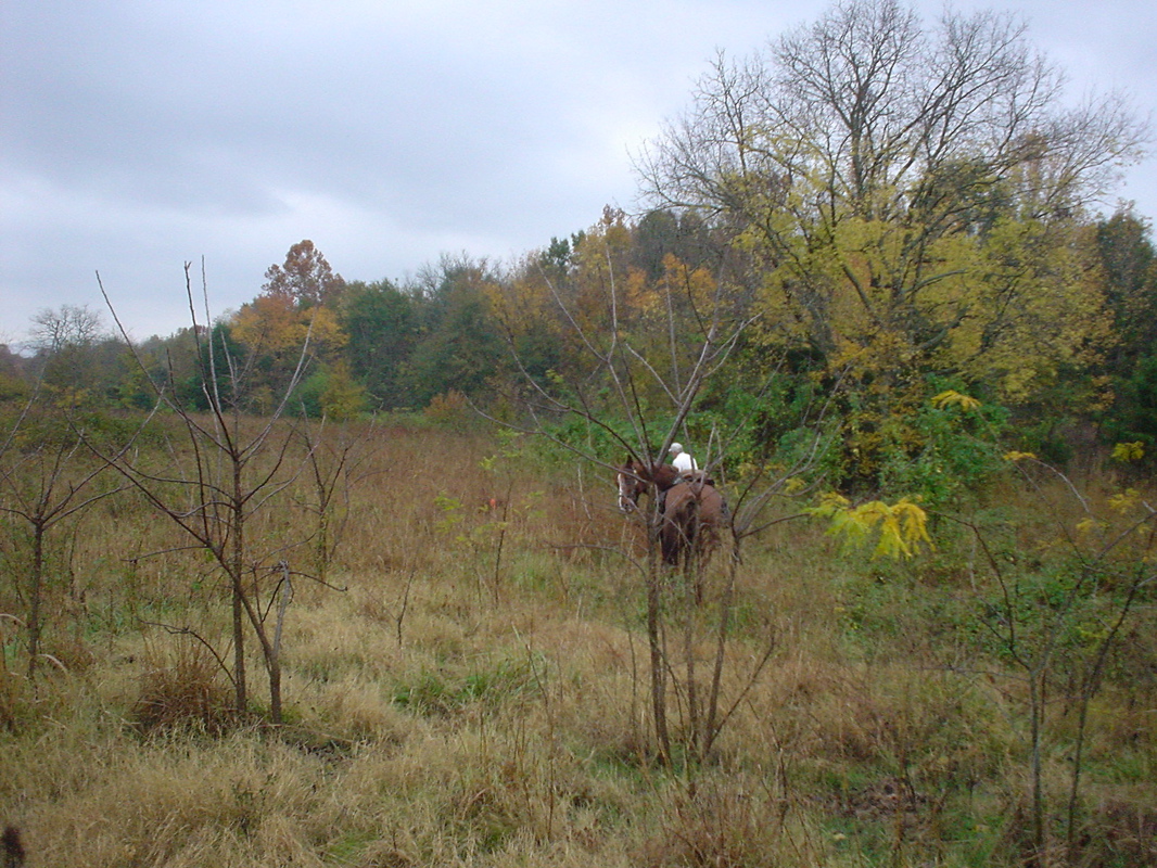 DSC00839.JPG