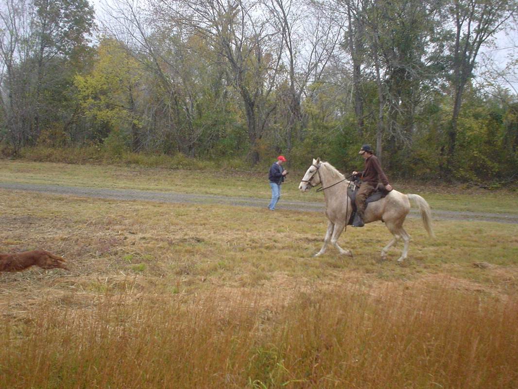 DSC00846.JPG