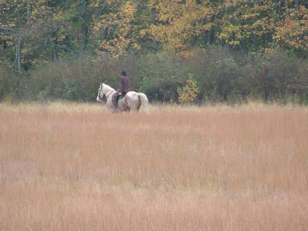 DSCF8265.JPG