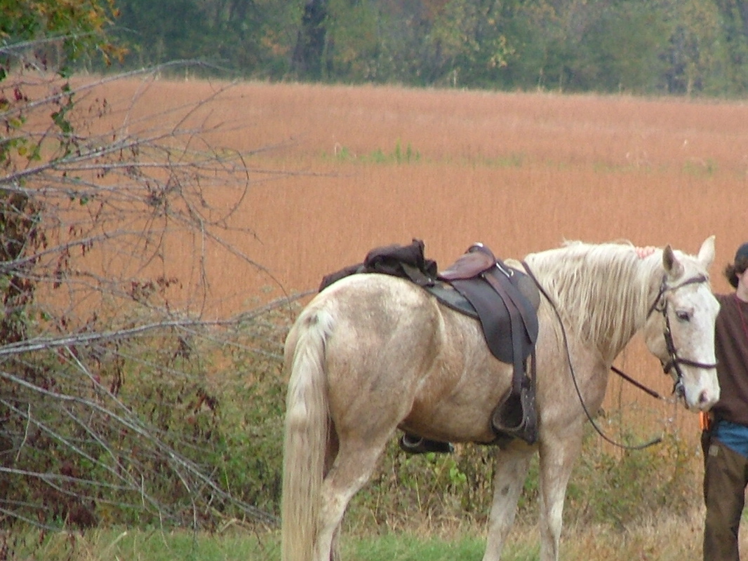 DSCF8272.JPG