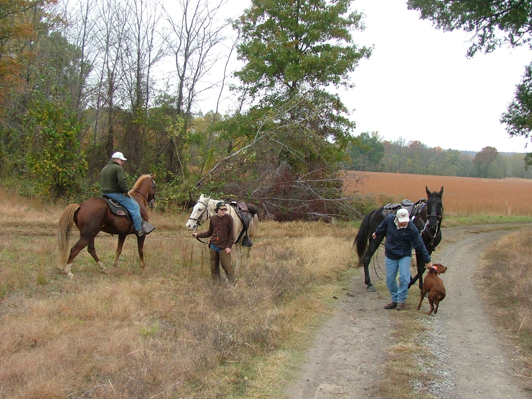 DSCF8271.JPG