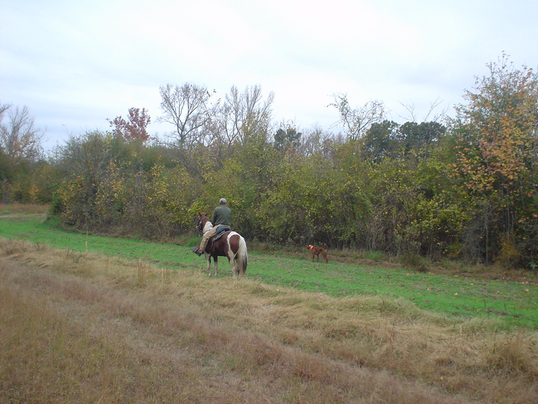 DSC00848.JPG
