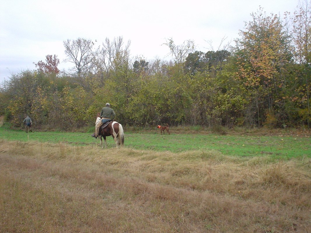 DSC00849.JPG