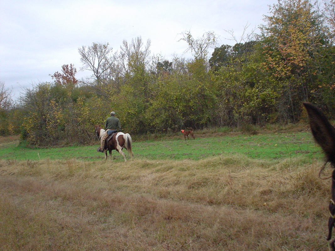 DSC00851.JPG