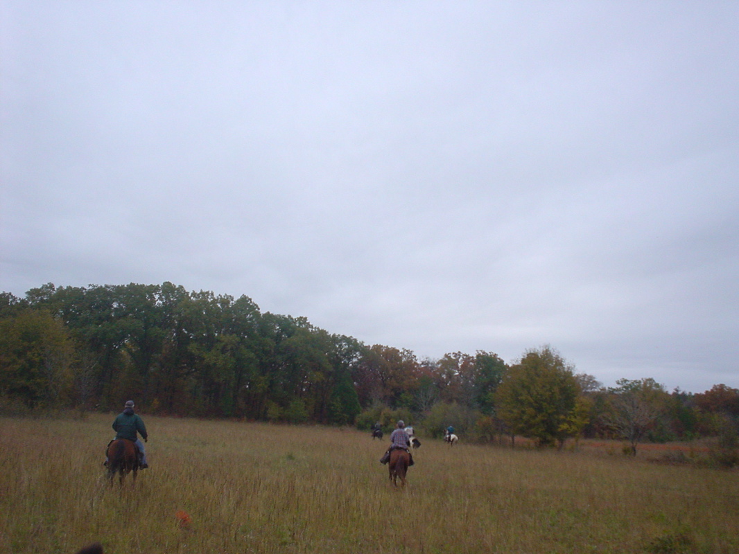 DSC00854.JPG