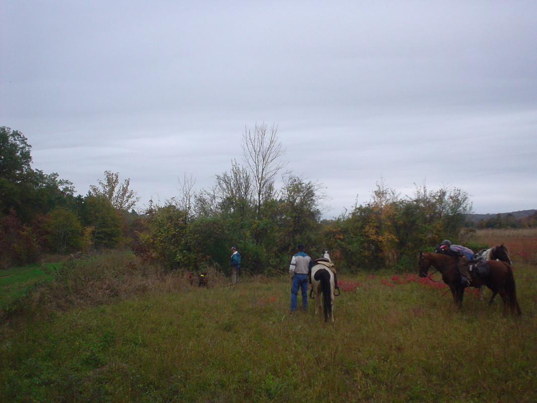 DSC00858.JPG