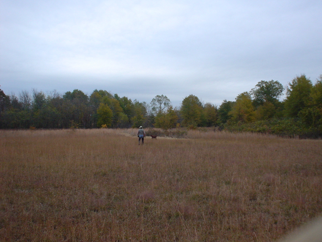DSC00869.JPG